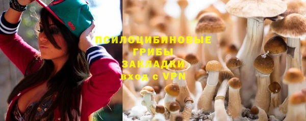 стафф Армянск