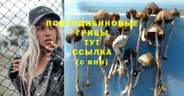 ECSTASY Алзамай