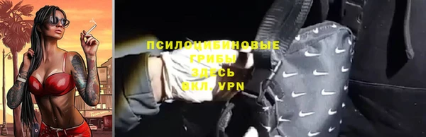 СК Аркадак