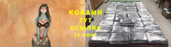 СК Аркадак