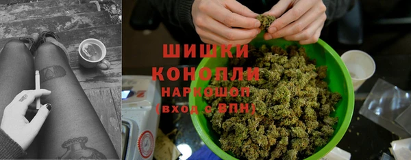 СК Аркадак