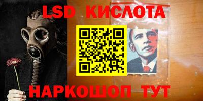 эйфоретик Славгород