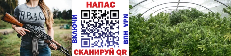 ОМГ ОМГ   нарко площадка официальный сайт  Бошки марихуана семена  где найти   Нарткала 